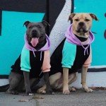 Cyber Punk Dog Hoodie - Soft & Comfy Fit