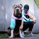 Cyber Punk Dog Hoodie - Soft & Comfy Fit