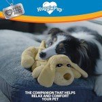 HuggiePup Cuddly Puppy Training Aid Toy