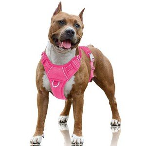 BARKBAY Large Reflective No Pull Dog Harness
