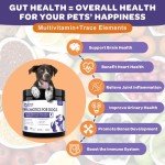 Dog Probiotics with Prebiotics & Digestive Enzymes