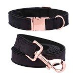 Soft Velvet Dog Collar and Leash Set for Pets