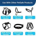 PetSafe 6ft Nylon Leash in Black