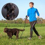 Ladoogo Heavy Duty Padded Dog Leash - 5 ft