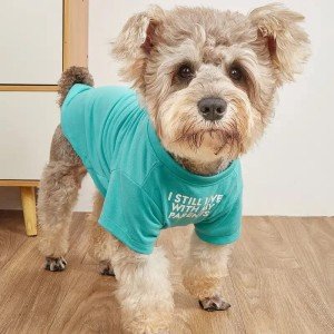 Cute Aqua T-Shirt for Medium and Small Dogs