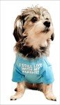 Cute Aqua T-Shirt for Medium and Small Dogs