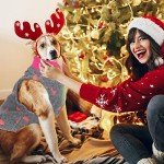 Reginary 10 Pack Large Dog Fleece Sweaters