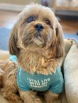 Cute Aqua T-Shirt for Medium and Small Dogs