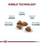 Royal Canin Indoor Adult Dry Cat Food, 7lb