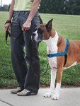 PetSafe Easy Walk No Pull Dog Harness – Medium