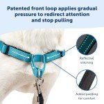 PetSafe Easy Walk No Pull Dog Harness – Medium