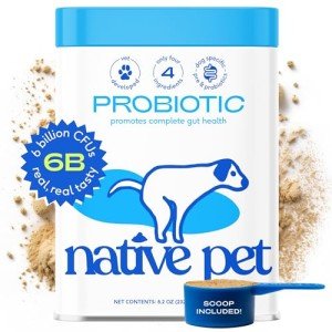 Vet-Approved Probiotic Powder for Dogs' Gut Health