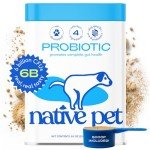 Vet-Approved Probiotic Powder for Dogs' Gut Health