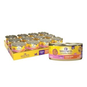 Grain-Free Chicken Wet Kitten Food, 24-Pack