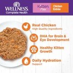 Grain-Free Chicken Wet Kitten Food, 24-Pack