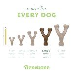 Benebone Large Wishbone Dog Chew Toy – Bacon Flavor
