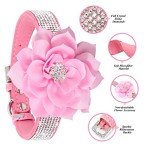 Rhinestone Dog Collar and Leash Set - Pink Bling