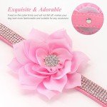 Rhinestone Dog Collar and Leash Set - Pink Bling