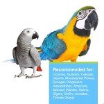 Hari Tropimix Large Parrot Food with Seeds & Fruits