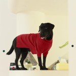 Cozy Red XL Sweater for Large Dogs