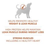 Purina ONE Healthy Weight High-Protein Dog Food 8 lb
