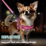 SlowTon Reflective No Pull Dog Harness & Leash Set