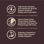 Wellness CORE+ Small Breed Turkey & Chicken Dog Food