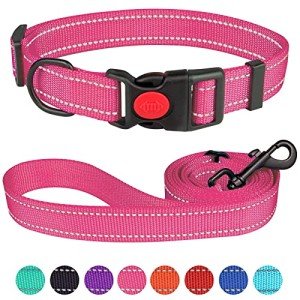Reflective Nylon Dog Collar and Leash Set