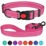 Reflective Nylon Dog Collar and Leash Set