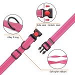 Reflective Nylon Dog Collar and Leash Set