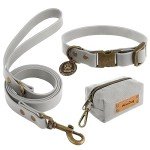 Wisedog Adjustable Dog Collar and Leash Set