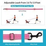 Reflective Nylon Dog Collar and Leash Set