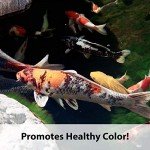 Kaytee Koi's Choice Premium Fish Food