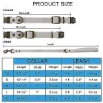 Wisedog Adjustable Dog Collar and Leash Set