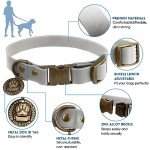 Wisedog Adjustable Dog Collar and Leash Set
