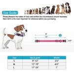 Reflective Nylon Dog Collar and Leash Set