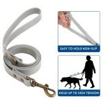 Wisedog Adjustable Dog Collar and Leash Set