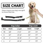 Reflective Dog Collar and Leash Set - Black