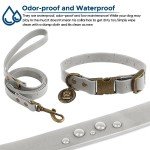 Wisedog Adjustable Dog Collar and Leash Set