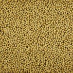 Kaytee Koi's Choice Premium Fish Food