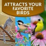 Sunflower Hearts & Chips Bird Food, 5.5 lbs