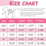 Cute Puppy Sweaters for Small Dogs - 2 Pack