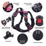 PoyPet Reflective No Pull Dog Harness – Pink
