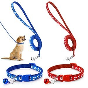 Adjustable Collar and Leash Set for Dogs and Cats