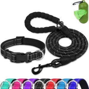 Reflective Dog Collar & 6FT Leash Set