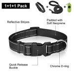 Reflective Dog Collar & 6FT Leash Set