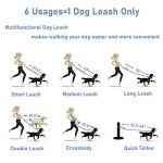 Waterproof Dog Collar and Leash Set with Holder