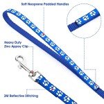 Adjustable Collar and Leash Set for Dogs and Cats