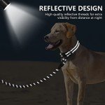 Reflective Dog Collar & 6FT Leash Set