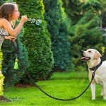 Reflective Dog Collar & 6FT Leash Set